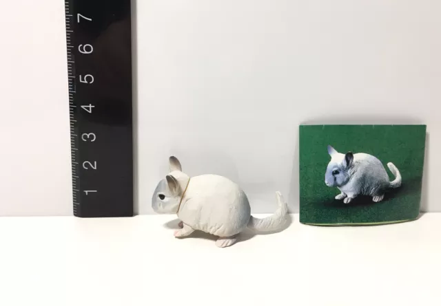 RARE Kaiyodo Chocoq Choco Q Pet Animal 4 Light Gray Chinchilla B Figure