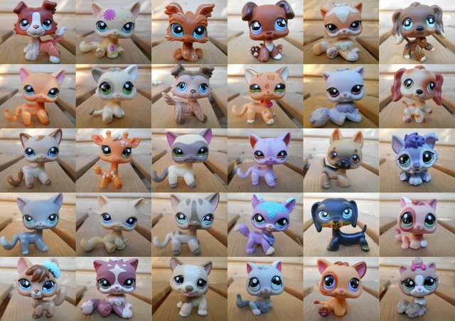 Littlest Petshop Pet Shop LPS Authentic Authentique cat Shorthair European 19 : Achat occasion | Figurines Hasbro Vert Plastique 6 ans - 8 ans État moyen