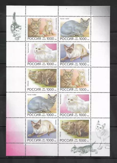 Russia  1996  Sc 6311A Cat Breeds Fauna Animals  Sheet  Mnh