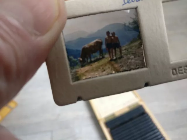 Rare Verascope F 40 Stereoscope 25 Color Views Side of the Azure, 1955, France 3