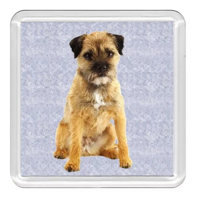 Border Terrier Cute Sitting Dog Acrylic Coaster Novelty Drink Cup Mat Great Gift