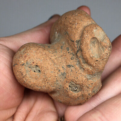 Pre-Columbian Avian Saladoid Terracotta Figurine Head Fragment Ancient Pottery 2