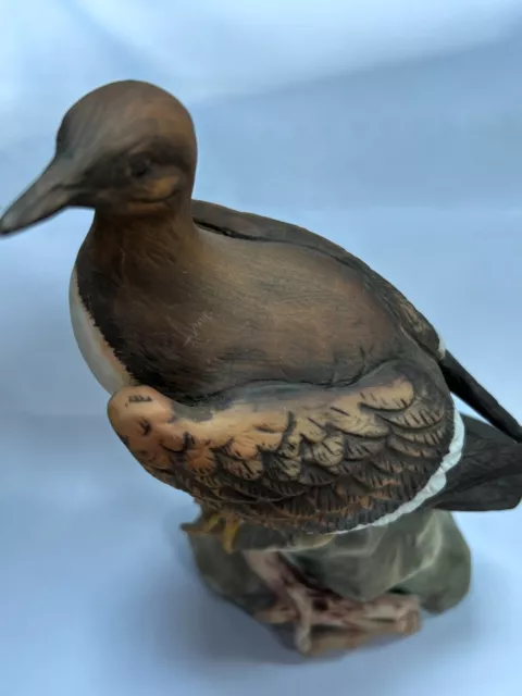 The Chancery Collection Maruri Guillemot Bird Figure Ornament Nature Art #LH