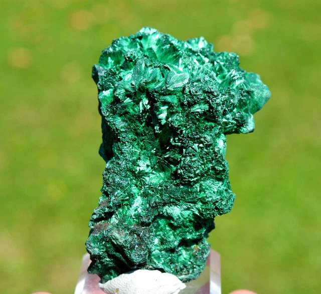 Malachit 80 Gramm - DER STERN Des Kongo Mine, Lubumbashi, Dr Kongo