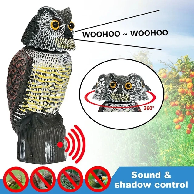 REALISTIC OWL DECOY Deterrent w/Rotating Head Sound Bird Pigeon Crow