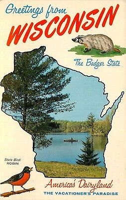 Greetings From Wisconsin State Map Lake Badger Robin Postcard