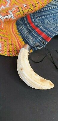 Old Papua New Guinea Ceremonial Boars Necklace beautiful accent collection piece 2