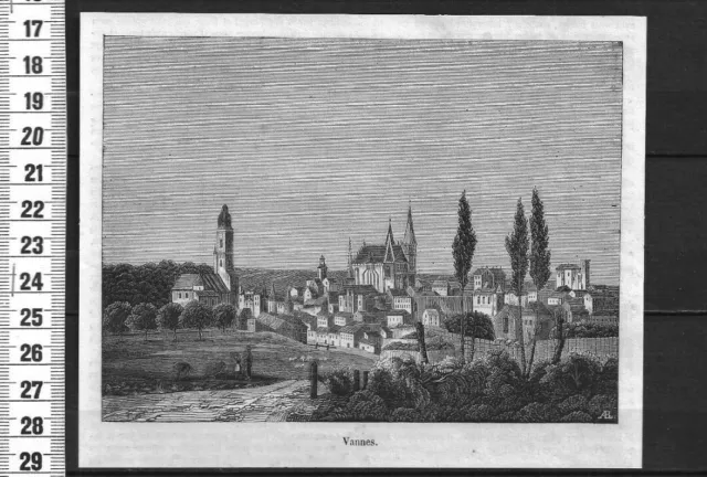 G206  / Gravure 1850 /   Vue De Vannes