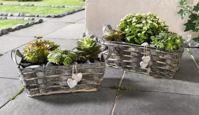 2 Blumen Kästen aus Zink, Rinde & Weide, Pflanz Kübel Kräuter Topf Schale