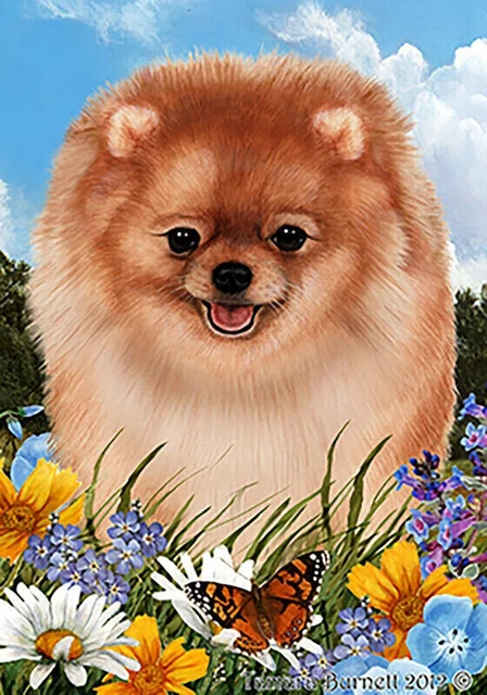 Summer Garden Flag - Orange Pomeranian 1801111