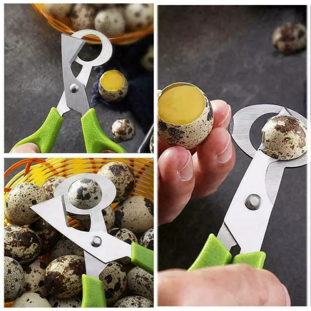 Pigeon Quail Egg Scissors Cracker Opener Cigar Cutter BEST Steel Tool жр 2