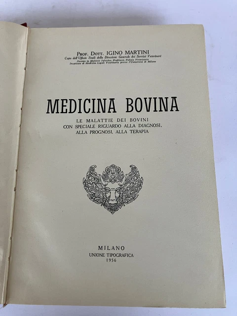 Barrette Per Cani George &amp; Bobs - Snack Testa Di Bovino 30 Cm, 1000g, Senza Additivi