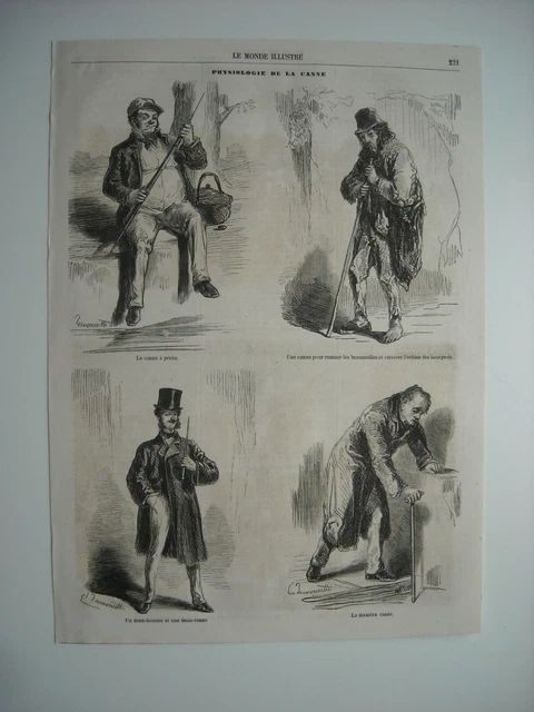 1861 Engraving. Cane Physiology. Pair Damourette. Fishing Rods. Last C