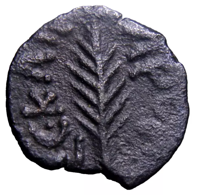 Jewish Coins of the Holyland Judaea, Procurators Porcius Festus Wheat Coin wCOA