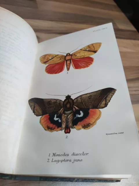 Lepidoptera By W.F. Kirby 1897 1st Edition Vol. 5 32 Color Plates