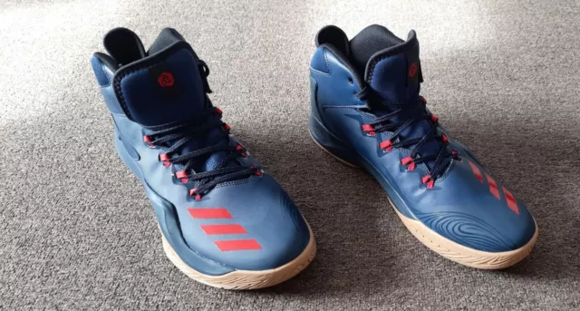 D rose on sale dominate iv