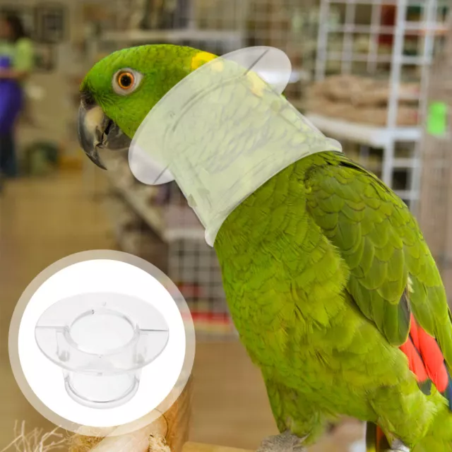 Effective Parrot Collar for African Grey - Say Goodbye to Plucking! 2