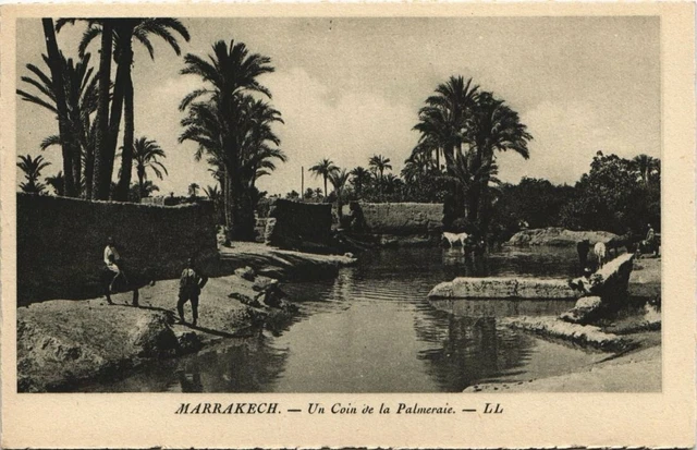 CPA AK MAROC MARRAKECH Un Coin de la Palmeraie (10870)