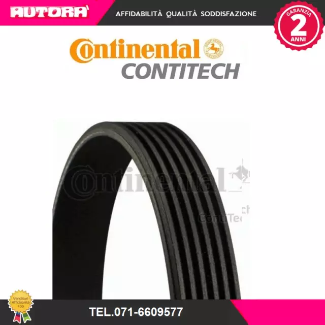 4PK1538 Cinghia Poly-V (MARCA-CONTITECH)