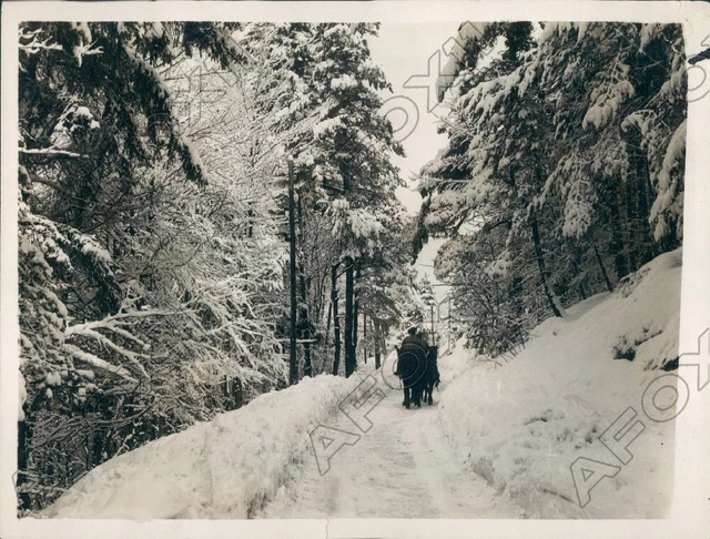 1929 Riviera France Alps the Beautiful Esteral Mountains Heavy Snow Press Photo