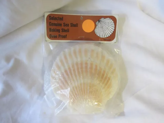 Set of 4 Selected Baking shells "GENUINE SEA SHELL" Made in Japan