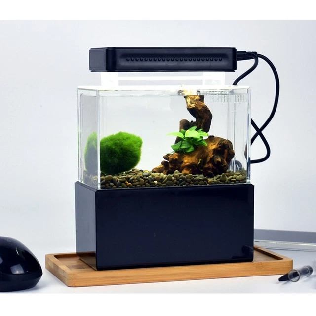 Mini Fish Aquarium Small Betta Fish Tank With Water Filter Desktop Decoration