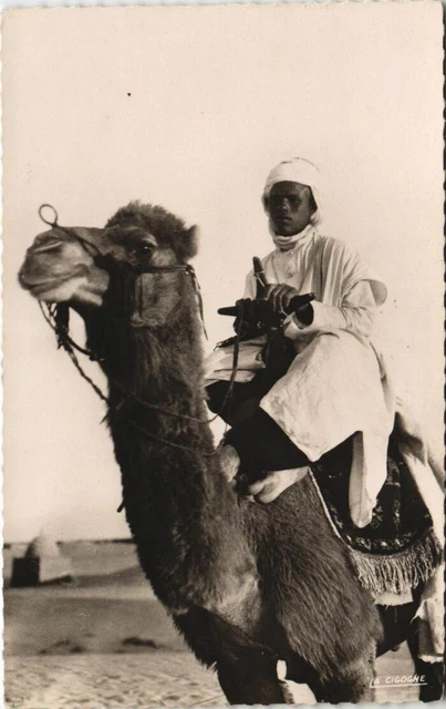 CPA AK Jeune chamelier et son méhari MAROC (24434)