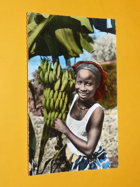 Cpa Carte Postale Photo 1950 Colonies France Senegal A.o.f. Afrique Banane