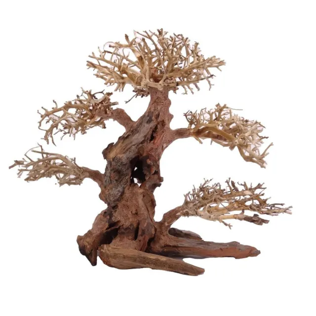 XL Bonsaï Arbre Racine Bois Décoration Aquarium Aquascaping Nature Oriental