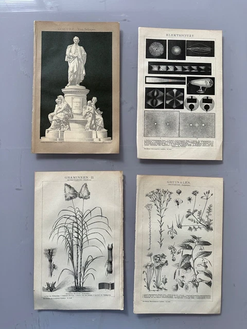 LOTTO di 4 rare illustrazioni antiche di Brockhaus del 1900 SPEDIZIONE GRATUITA