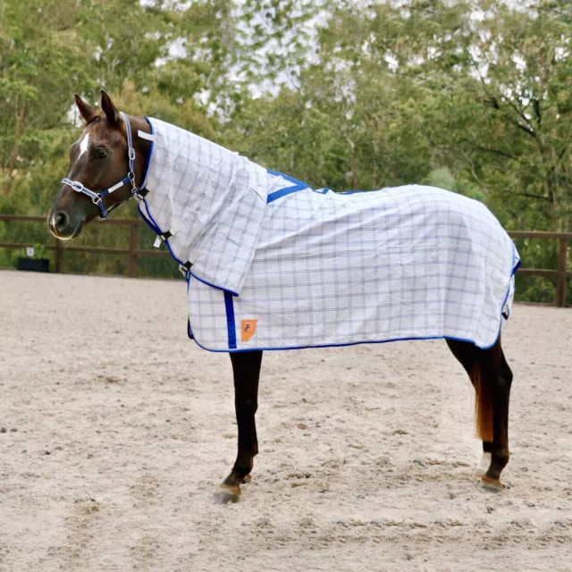 Capriole Ripstop Cotton Royal Blue Check Summer Horse Combo Rug