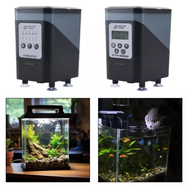 Distributeur automatique de nourriture pour poissons, mangeoire pour poissons