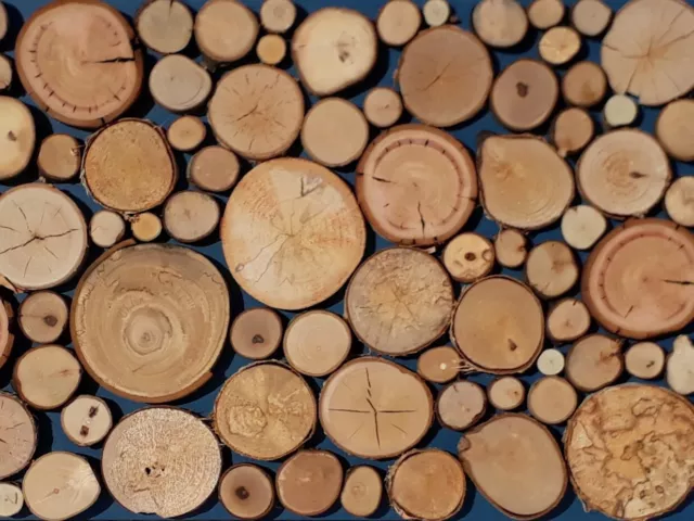 Großhandel 1-100 Stck. Holzscheiben Rustikale Wand Weihnachten Handwerk Deko Stämme Öko 3