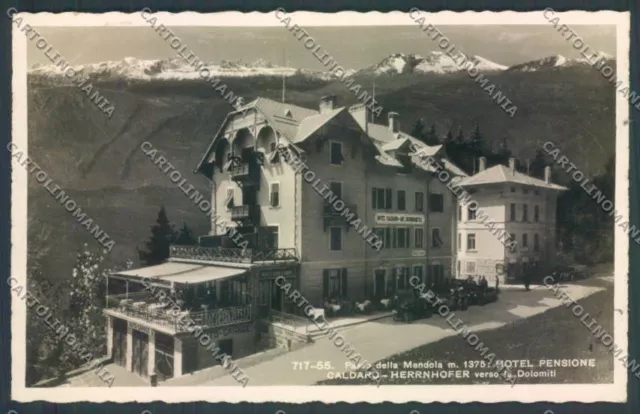 Trento Passo della Mendola photo postcard ZB0989