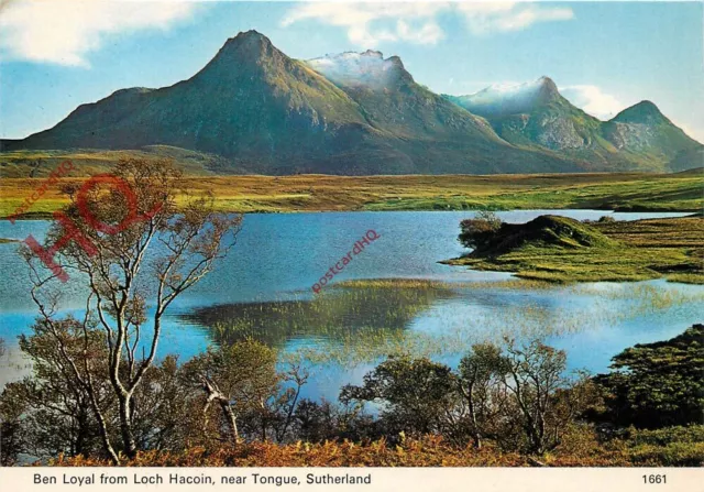 Picture Postcard- Ben Loyal from Loch Hacoin, Near Tongue, Sutherland