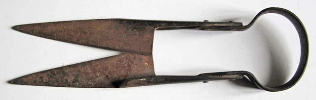 Paire De Ciseaux Anciens Pour Tonte Mouton - Portugal, Longueur 25 Cm, Acier