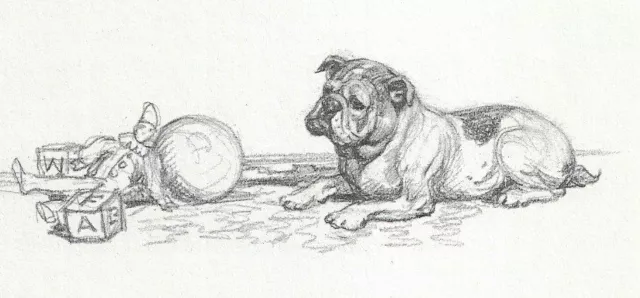 English Bulldog - 1953 Vintage Dog Art Print - Megargee 0507