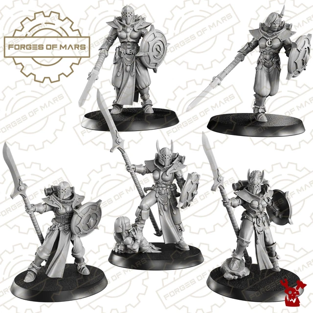 Sacred Sisters - Stormpride - Squad Valkyries (x5) - Figurines 3D Warhammer