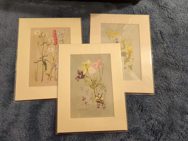 Vintage Antique Book Plate Botanical Art Prints - George Flemwell 1912