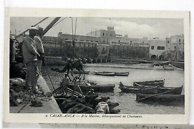 Port Debarquement Des Chameaux  Casablanca  Maroc Cpa Postcard Ma541