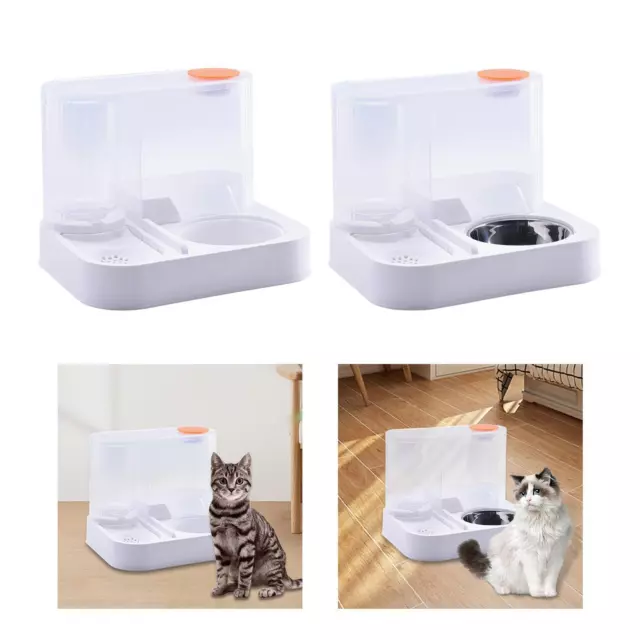 Mangeoire pour chat et distributeur d'eau mangeoire pour chien par gravité