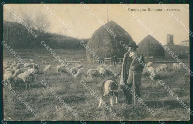 Rome City Country Roman Sheep FOLD Postcard VK1400