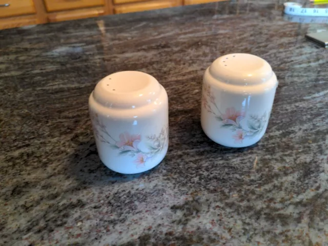 Noritake salt & pepper shakers Misty Isle Keltvtaft Discontinued 3.75" X 4"