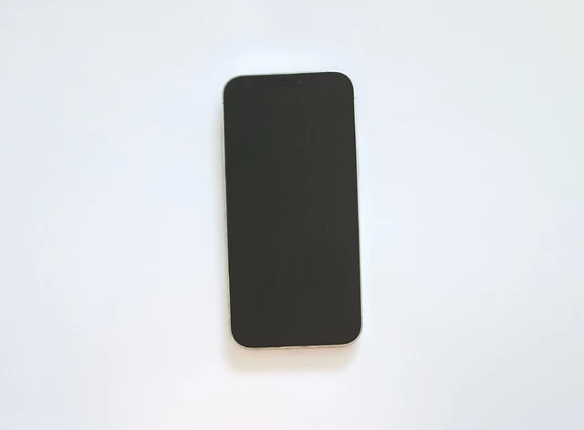 Apple iPhone 12 Pro Max Silber | Defekt,Verbastelt,Unvollständig,iCloud Sperre
