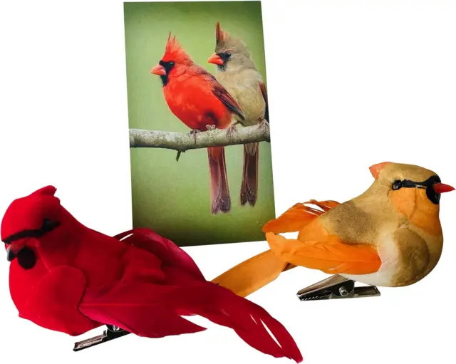 Cardinal Decor Set with Clip Male and Female Love Bird Cardinals with Story Card