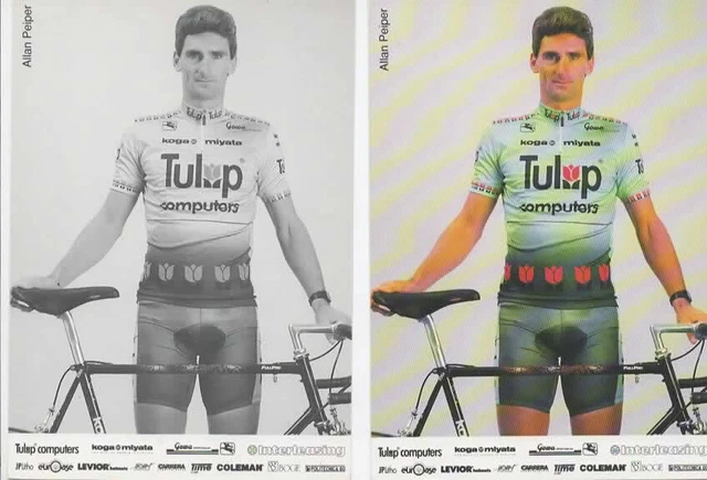 Équipe cycliste professionnelle VTG TULIP COMPUTERS