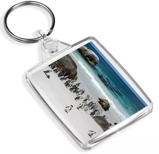 Boulders Penguin Colony Keyring -IP02- Cape Town Africa Animals Cute Gift #16260