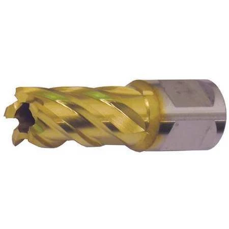 Slugger By Fein 63134254113 Annular Cutter,M42 Tin,1 Dia,2 D