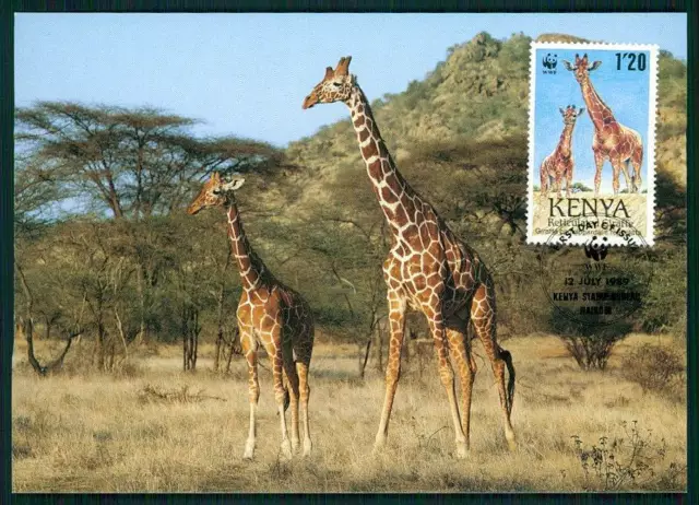 KENIA KENYA MK WWF FAUNA GIRAFFEN GIRAFFE MAXIMUMKARTE MAXIMUM CARD MC CM gu06