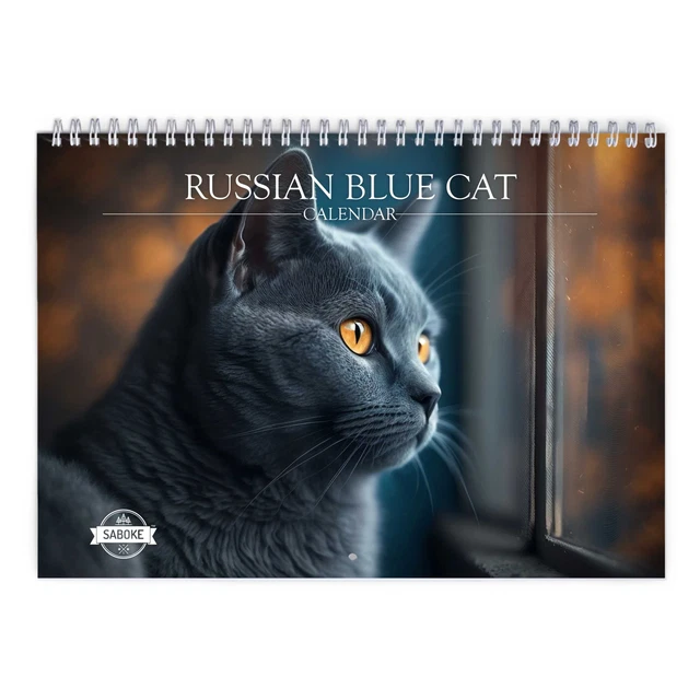 RUSSIAN BLUE CAT 2024 Wall Calendar 24.99 PicClick